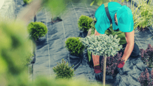 Landscaping