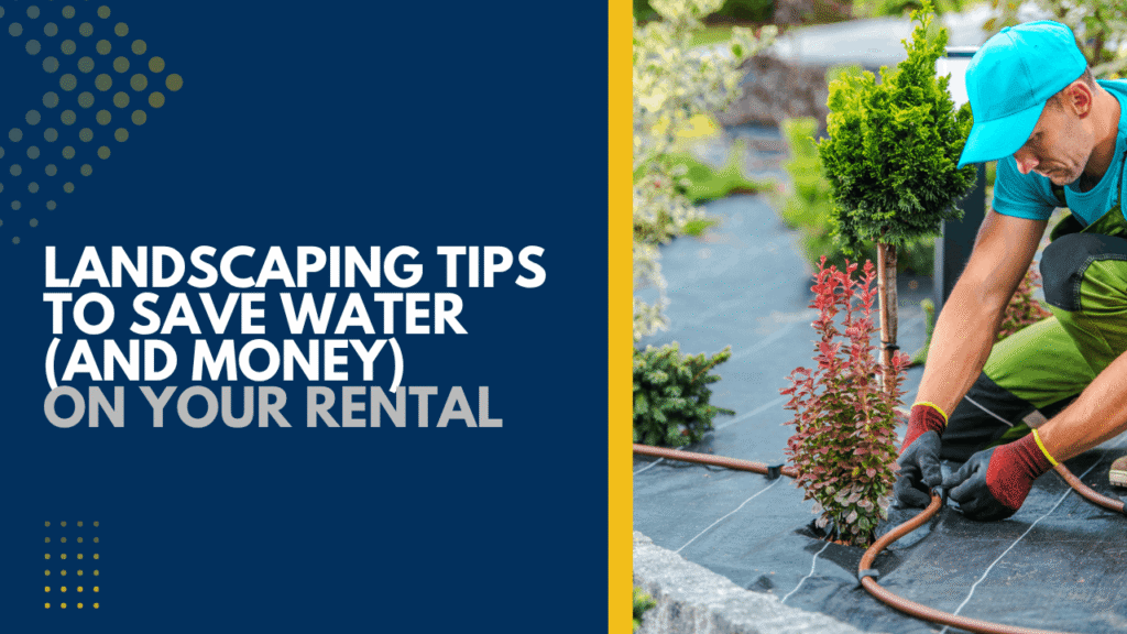 Landscaping Tips to Save Water (and Money) on Your Solano County Rental - Article Banner
