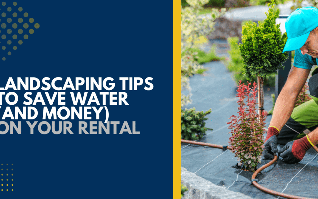 Landscaping Tips to Save Water (and Money) on Your Solano County Rental