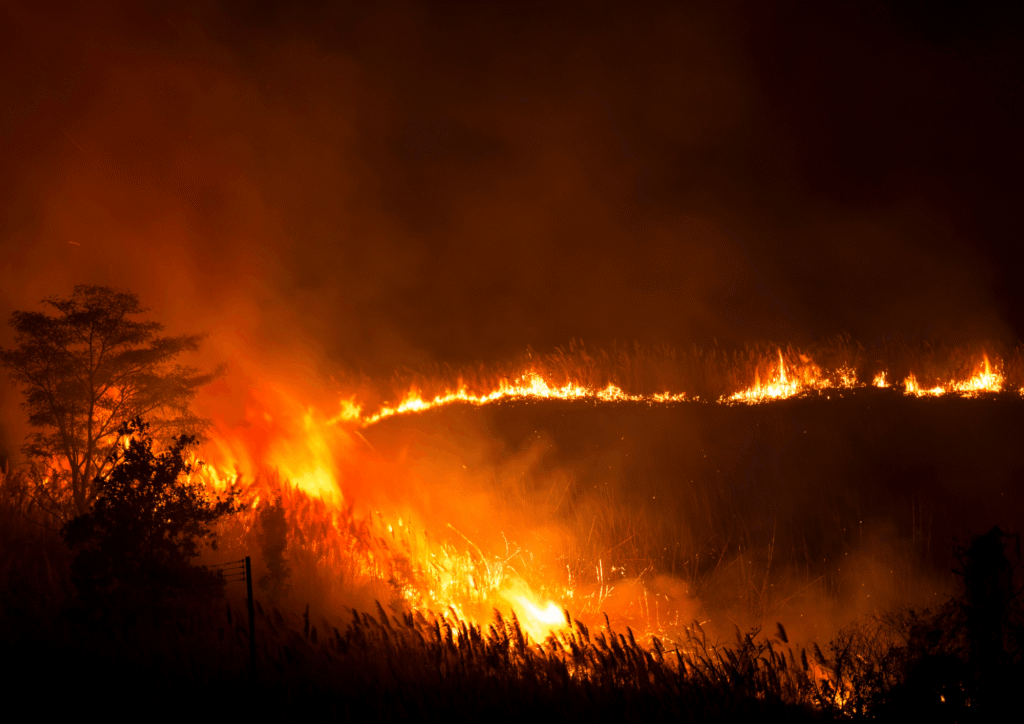 Wildfire Prevention